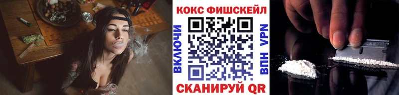 МЕГА маркетплейс  Гудермес  COCAIN Fish Scale 