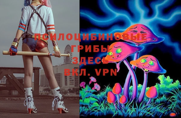 дмт Белоозёрский