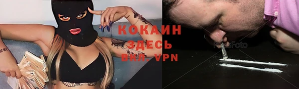 молекула духа Белокуриха