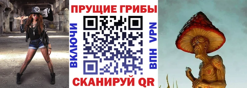 блэк спрут сайт  как найти   Гудермес  Галлюциногенные грибы GOLDEN TEACHER 