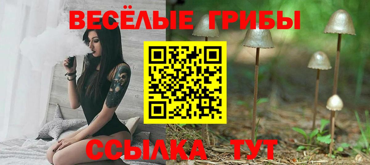 Псилоцибиновые грибы прущие грибы Гудермес