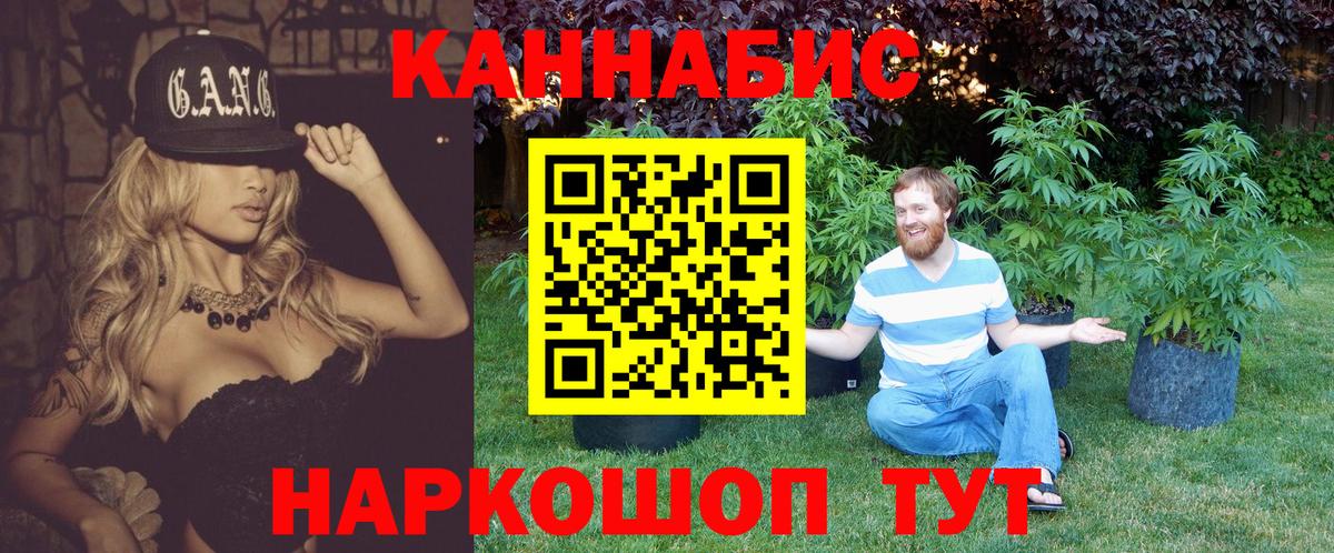 Канабис план Гудермес
