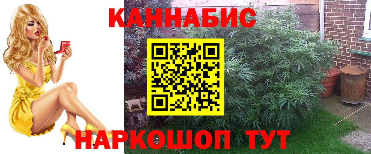 Бошки марихуана марихуана  Конопля MAZAR  Гудермес  Канабис SATIVA & INDICA  Вход с VPN 